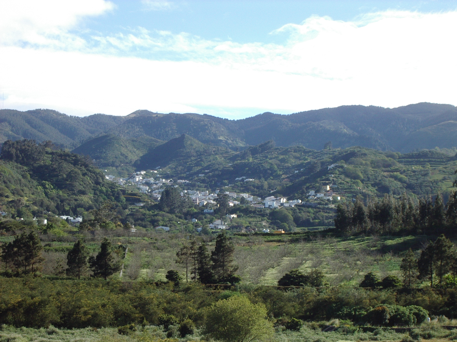 Abastecimiento del Ayuntamiento de Valleseco